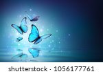 Magic Butterflies On Water  ...