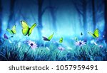 Fairy Butterflies In Mystic...