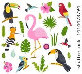 Vector Set Of Cute Birds From...