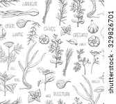 seamless pattern with herbs and ... | Shutterstock .eps vector #329826701
