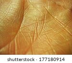 close up of human hand skin with visible skin texture and lines