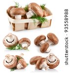 Set Fresh Mushroom Champignons...