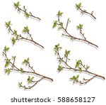 color pattern of branches with... | Shutterstock .eps vector #588658127