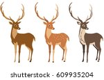 A Set Of Deer For Your Design....