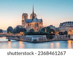 Cathedral notre dame in paris...