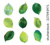 set of green watercolor leaves | Shutterstock .eps vector #227093971