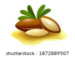 argan nuts with leaves and... | Shutterstock .eps vector #1872889507
