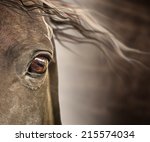 Eye Of Horse With Mane On Dark...