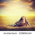 Girl Hugging A Horse And Lying...