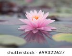Lotus Flower Select Focus Blur