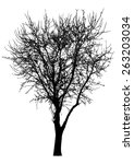 tree   bush   bare branches  ... | Shutterstock .eps vector #263203034