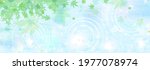 fresh green japanese maple... | Shutterstock .eps vector #1977078974