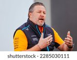 Small photo of MELBOURNE, AUSTRALIA - MARCH 30: Zak Brown CEO of McLaren Formula 1 Team at the 2023 Australian Formula 1 Grand Prix on 30th March 2023