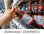 Small photo of Budweiser Beer Bud bottles on shelves in a supermarket. Buyer takes Bud beer. Bud Light is an American beer brewed by Anheuser Busch in the US and sold worldwide. Minsk, Belarus, 2022