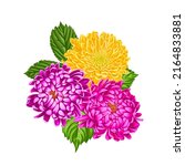 drawing flowers of aster... | Shutterstock . vector #2164833881