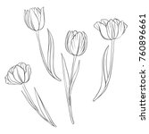 Vector Drawing Flowers Of...