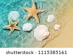 Starfish And Seashell On The...