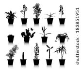 Set Of Silhouettes House Plants ...