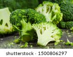 Macro photo green fresh vegetable broccoli. Fresh green broccoli on a black stone table.Broccoli vegetable is full of vitamin.Vegetables for diet and healthy eating.Organic food. 