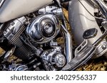 Small photo of KANIV, UKRAINE - JUNE 5, 2021:Nice Harley Davidson bike close up. A Festival Motorcycle International "Tarasova gora" annually attracts several thousand motorcyclists from different countries.