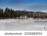 A frozen pond within Beebe hill state forest park in Austerlitz New York on cold winter day. 