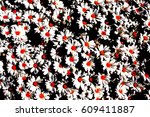white daisies with orange... | Shutterstock . vector #609411887