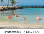 Four Flamingos On The Beach