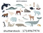 bundle of funny wild polar... | Shutterstock .eps vector #1714967974