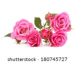 Pink Rose Flower Bouquet...
