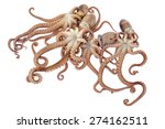 octopus on white background  | Shutterstock . vector #274162511