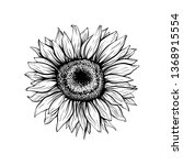 sunflower hand drawn vector... | Shutterstock .eps vector #1368915554