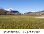 Landscape of green meadow groves and snowy mountains in the background in the transition between winter and spring 