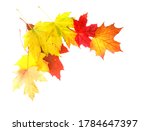 Decoration of autumn leaves on...