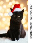 Black Cat In Santa Hat Sitting...