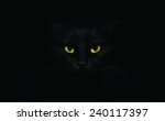 Black Cat On Black Background...