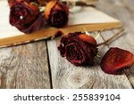 Dried Roses On Grey Wooden...