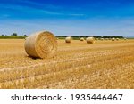 Round bales of straw rolled up on field against blue sky, autumnal harvest scenery