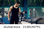 Small photo of Bodybuilding Concept. Portrait Of Muscular Young Arab Man Training With Dumbbells At Gym, Confident Middle Eastern Bodybuilder Working Out With Light Weights In Sport Club, Panorama, Copy Space