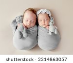 Newborn babies twins swaddled in fabric sleeping and holding bunny toys. Infant child kids studio photoshoot