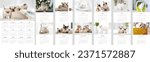 Small photo of 2024 Photo calendar with cute cats. Annual daily planner template with feline kitty animals. The week starts on Monday