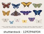 set butterflies. vector vintage ... | Shutterstock .eps vector #1292946934