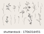 wild roses. floral elements.... | Shutterstock .eps vector #1706316451