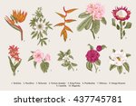 exotic flowers set. botanical... | Shutterstock .eps vector #437745781