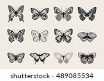 Set Of Butterflies. Vector...