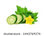 Realistic Fresh Cucumber And...