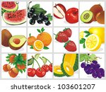 fresh berries on white... | Shutterstock .eps vector #103601207