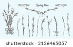 pussy willow branches set.... | Shutterstock .eps vector #2126465057