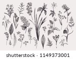 set with spring and summer... | Shutterstock .eps vector #1149373001