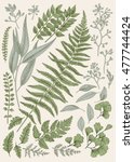 leaf set. vintage floral... | Shutterstock .eps vector #477744424