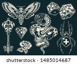 vintage monochrome tattoos... | Shutterstock .eps vector #1485014687